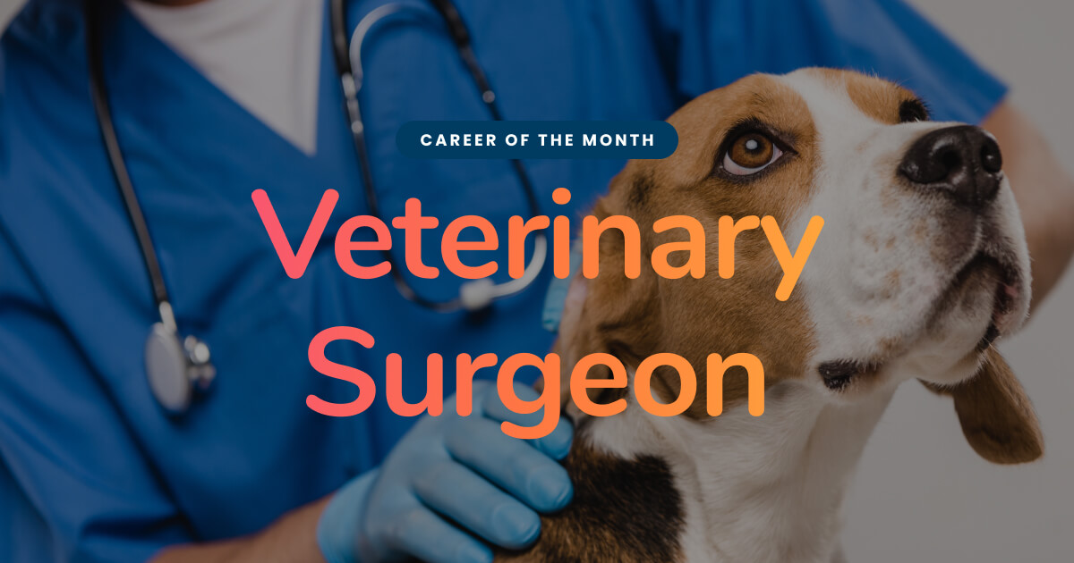 Career Focus of the Month a Veterinary Surgeon